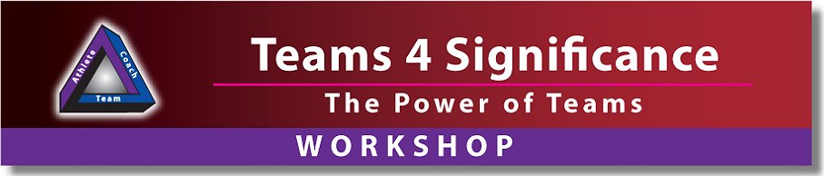 Teams 4 Significance Workshop